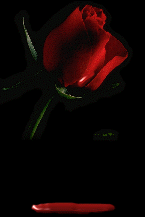 dropright1.gif - 59773 Bytes